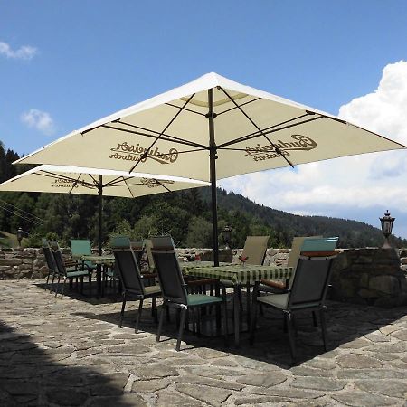 Hotel Studenec Rožmberk nad Vltavou Zewnętrze zdjęcie